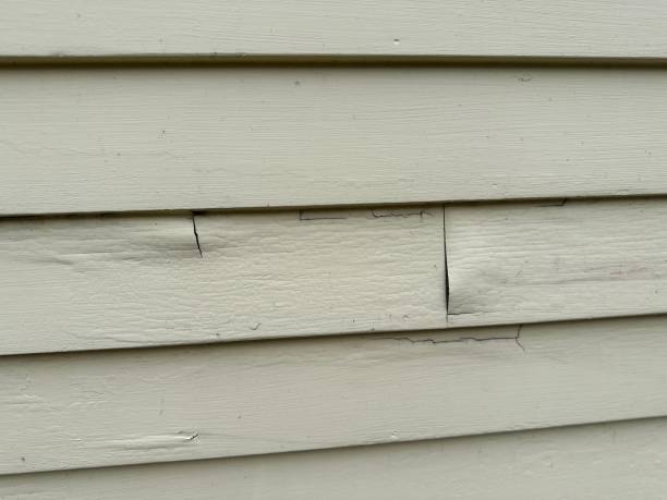  Newton, TX Siding Installation Pros